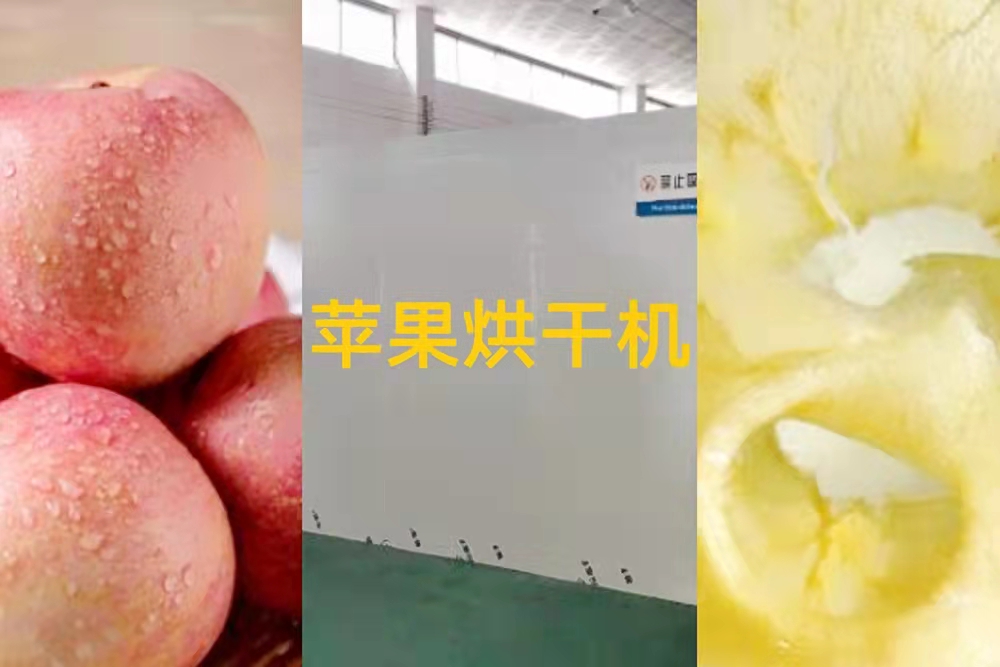 蘋果烘干機